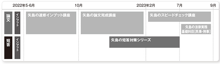 矢島の予備試験パック（2023年合格目標） -予備試験-LEC オンライン 