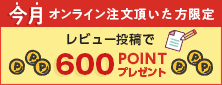 レビュー投稿でポイント進呈
